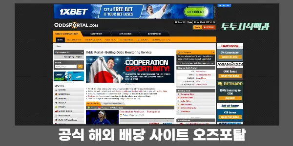 오즈포탈