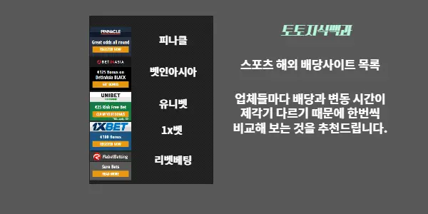 스포츠 배당사이트