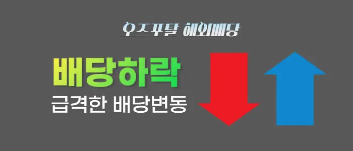 오즈포탈 양방